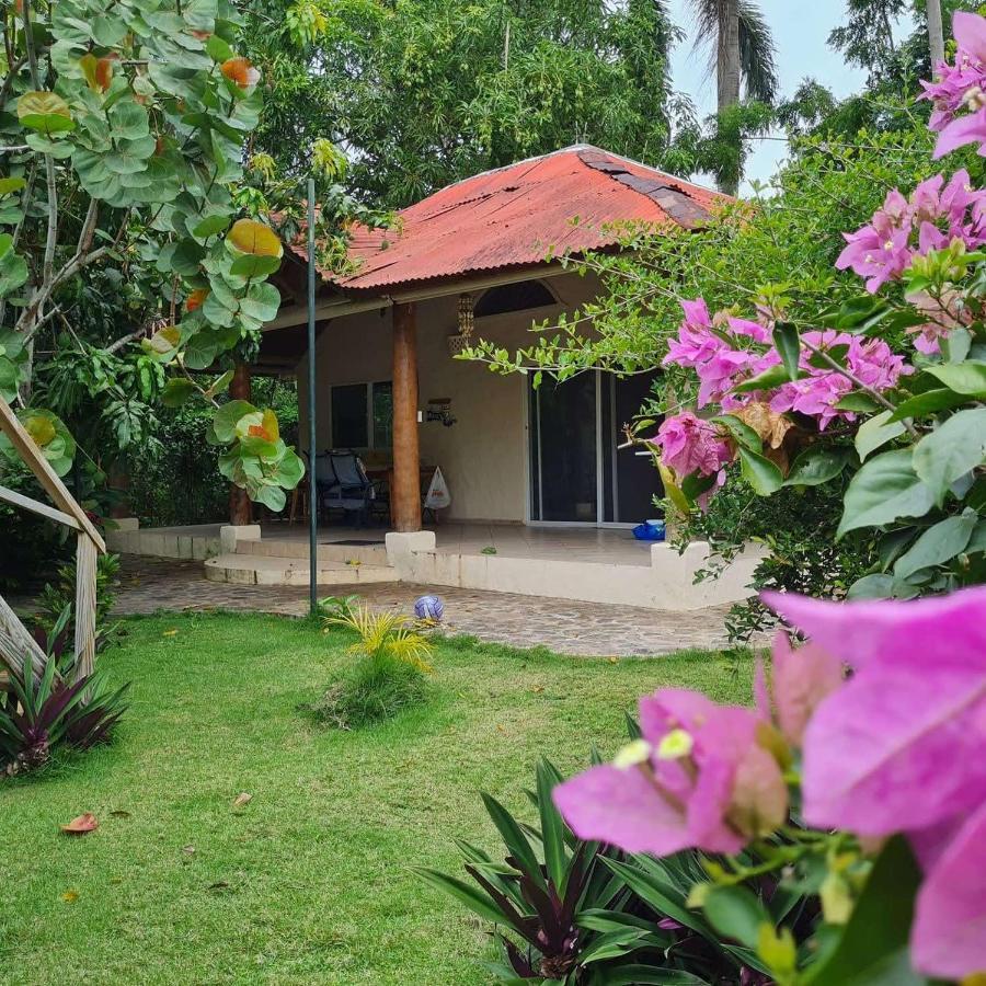 Villa Sonrisa Casa De Huespedes Las Terrenas Zewnętrze zdjęcie