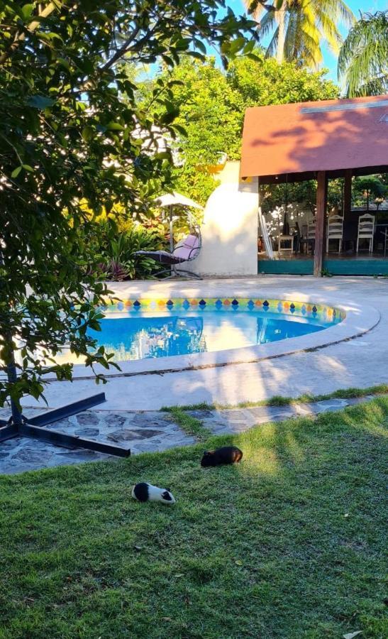 Villa Sonrisa Casa De Huespedes Las Terrenas Zewnętrze zdjęcie