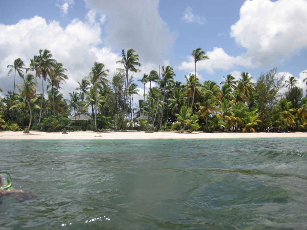 Villa Sonrisa Casa De Huespedes Las Terrenas Zewnętrze zdjęcie